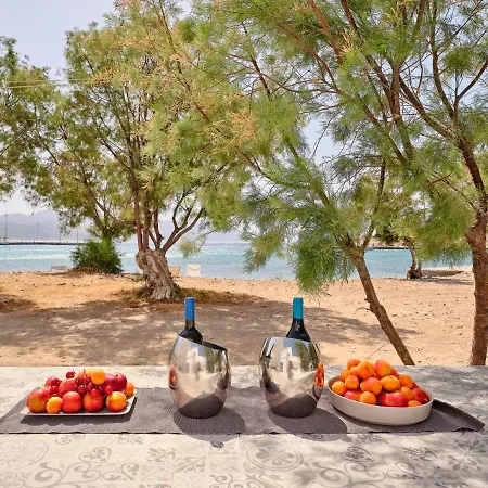 Apartamento Psathi House